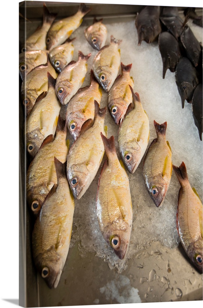 High angle view of fish at market, Tahiti, French Polynesia
