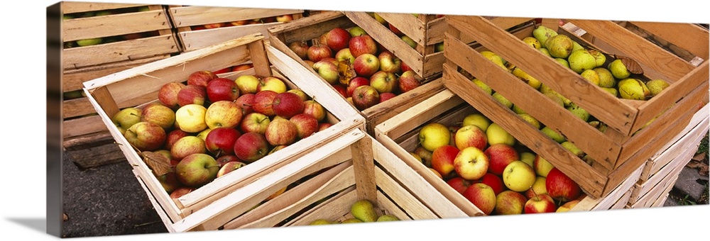 High angle view of harvested apples in wooden crates, Weinsberg, Baden-Wurttemberg, Germany