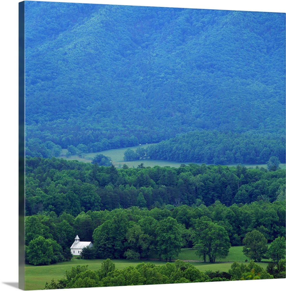 Oversized, portrait, high angle photograph of a small church sitting among a vast landscape of trees in Cades Cove.  A lar...