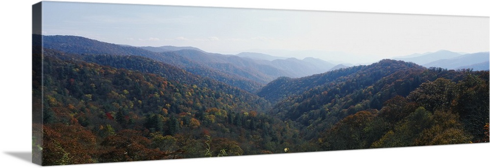High angle view of mountains, Great Smoky Mountains, Great Smoky Mountains National Park, North Carolina