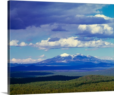 High angle view of ponderosa pine tree forest and San Francisco Mountains, Kaibab National Forest, Arizona