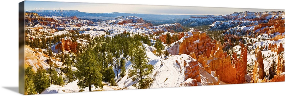 High angle view of rock formations, Boat Mesa, Bryce Canyon National Park, Utah