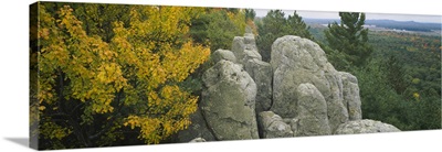 High angle view of rock formations in a forest, Black River State Forest, Wisconsin