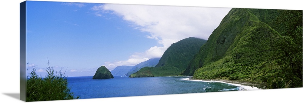 High angle view of sea cliffs at Kalawao, Pacific Ocean, Kalaupapa Peninsula, Molokai, Hawaii