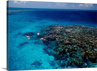 High angle view of three men snorkeling in the sea, Blue Hole, Lighthouse Reef, Belize