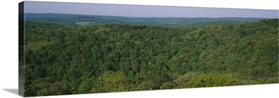 High angle view of trees in a forest, Garden of the Gods Recreation Area, Shawnee National Forest, Illinois