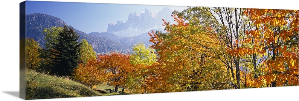Long photo on canvas of vivid fall foliage with a layer of rolling mountains then rugged mountains in the distance.