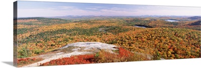High angle view of trees on a mountain, Bangor Area, Peaked Mountain, Clifton, Maine