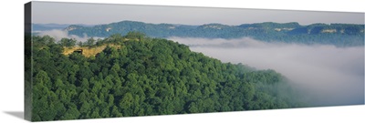 High angle view of trees on hills, Double Arch, Daniel Boone National Forest, Kentucky