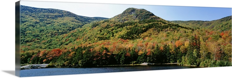 High angle view of White Mountain National Forest, New Hampshire Wall ...