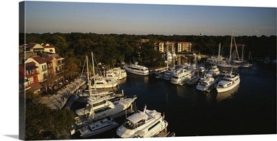 High angle view of yachts moored at a harbor, Hilton Head, South Carolina