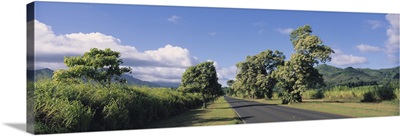 Highway 530 Kauai HI