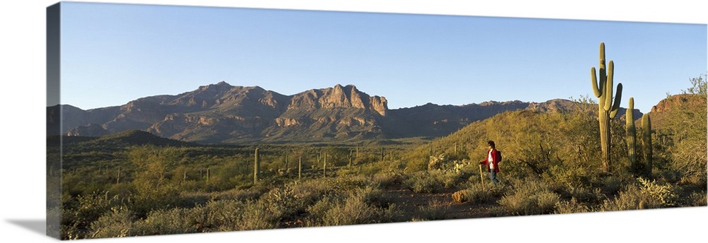 Hiker Superstition Wilderness Area Phoenix AZ