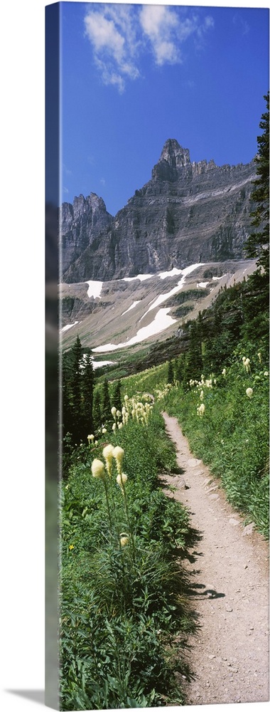 Hiking trail at US Glacier National Park, Montana