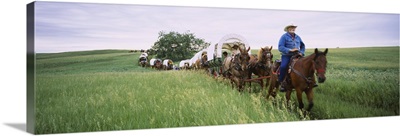Historical reenactment of covered wagons in a field, North Dakota