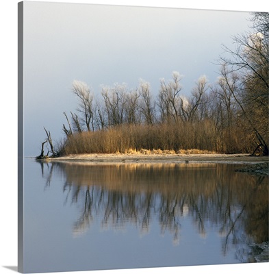 Hoarfrost on trees along Mississippi River, water reflection, Upper Mississippi National Wildlife Refuge, Wisconsin