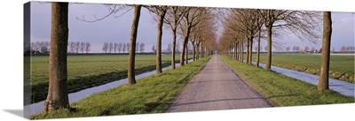 Holland, Meddembeemster, View of a tree lined lane with canals