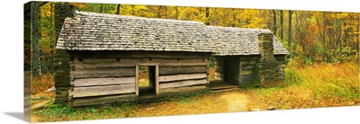 Homestead log cabin in a forest, Great Smoky Mountains National Park, North Carolina