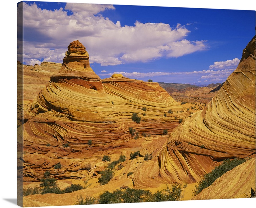 Hoodoo rock formations on a landscape, Coyote Buttes, Paria Canyon, Vermillion Cliffs Wilderness, Arizona