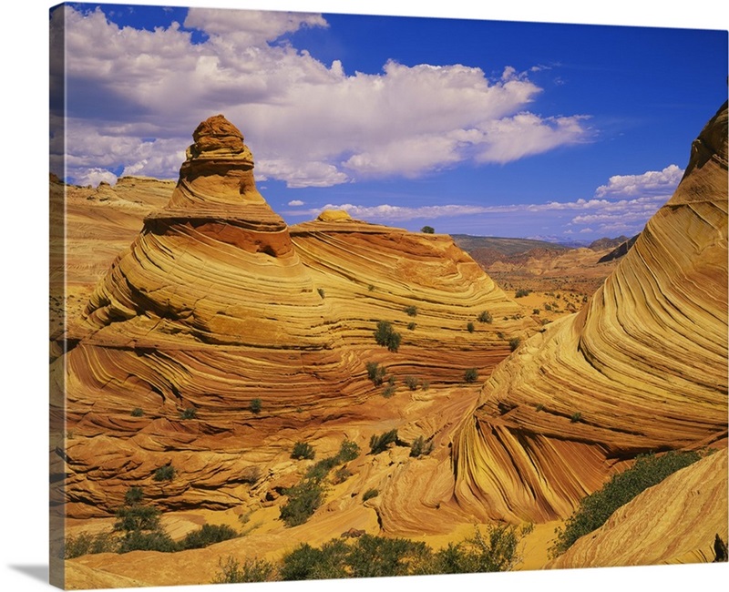 Hoodoo rock formations on a landscape, Coyote Buttes, Paria Canyon ...