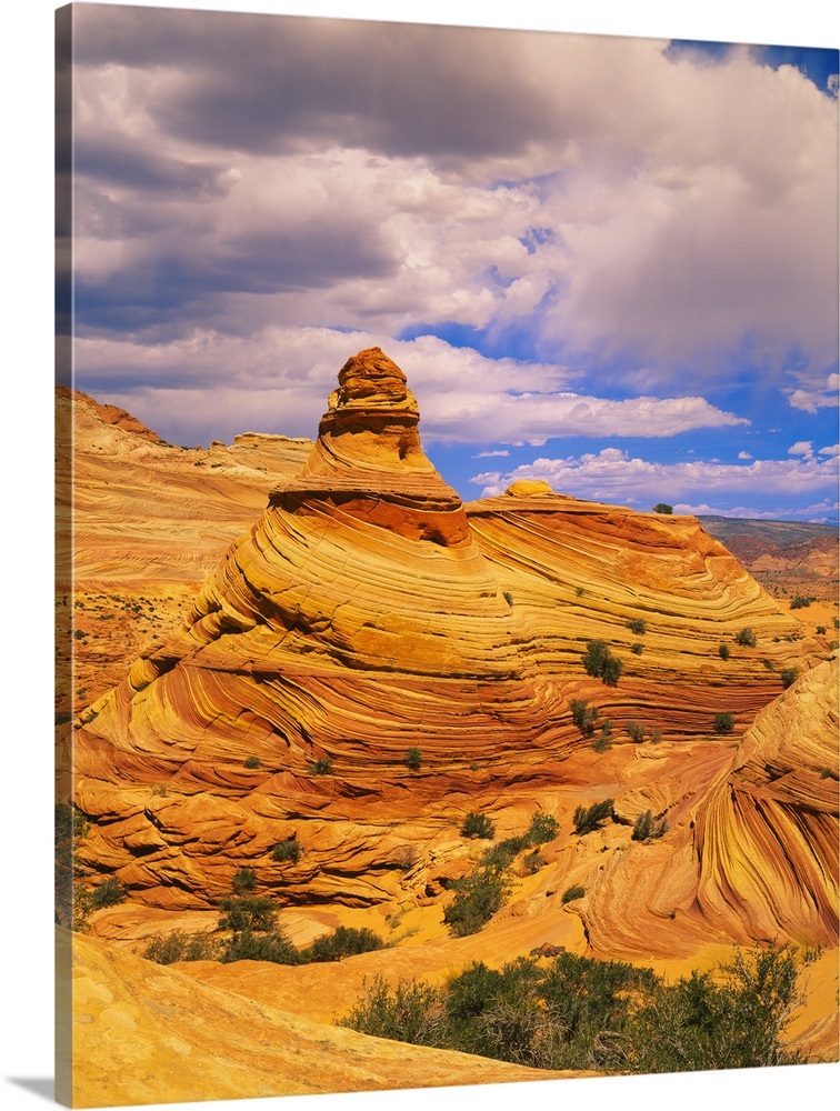 Hoodoo rock formations on a landscape, Coyote Buttes, Paria Canyon ...