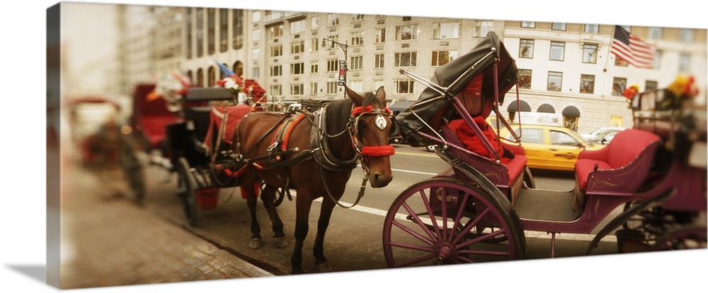 Horse drawn carriages at the roadside Central Park Manhattan New York City New York State