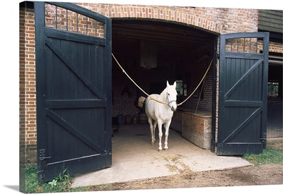 Horse standing in a stable, Middleton Place, Charleston, Charleston County, South Carolina,