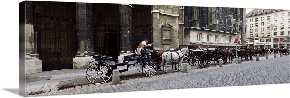 Austria, Vienna, Carriage (Horse drawn) at Stephansplatz (Stephens Square)