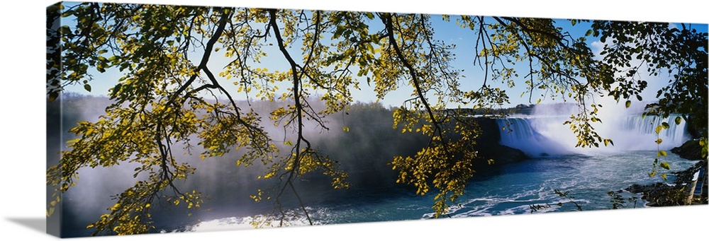 Panoramic photograph taken of Niagara Falls through low hanging tree branches that stretch across the picture.