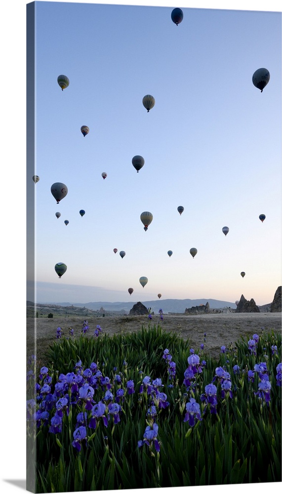 Hot air balloons above ground, Goreme, Cappodocia, Turkey