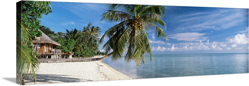 A hut on the shoreline of the tropical ocean paradise with a palm tree leaning sideways over the water.