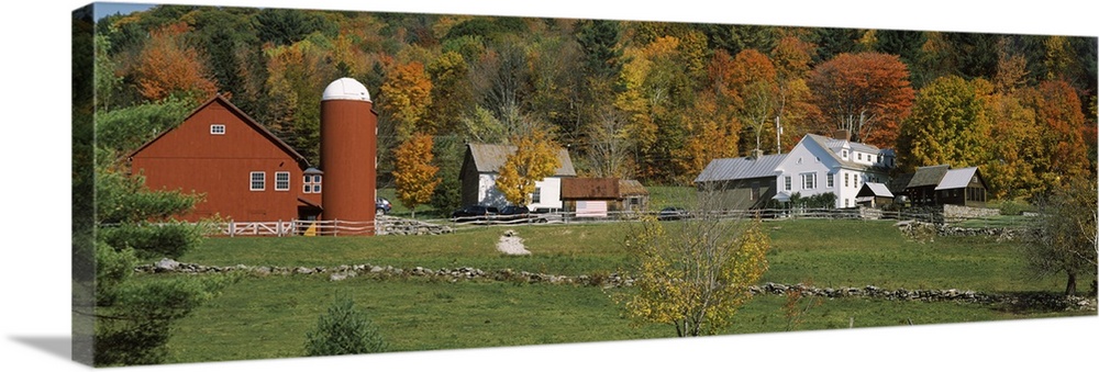 Red barn and house in VT..Red barn, house and rock walls at bast of hill with Fall color trees at Weston, VT.