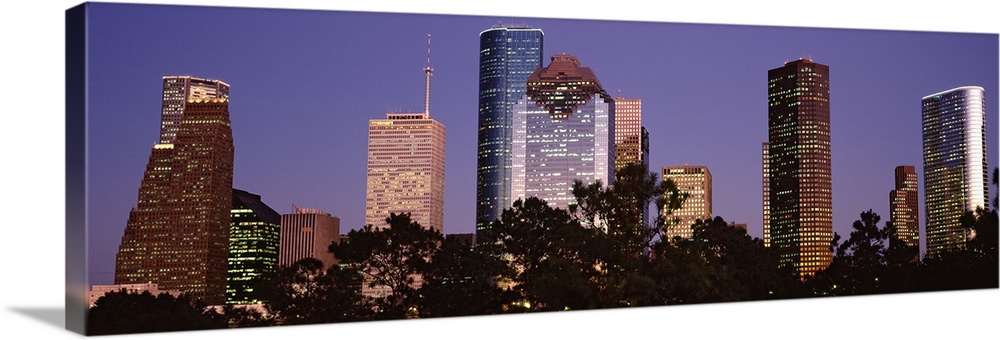 A panoramic view of the Houston skyline with the buildings illuminated and trees that line the bottom of the picture.
