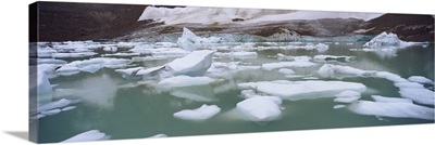 Ice floes floating in water, Angel Glacier, Mt Edith Cavell, Jasper National Park, Alberta, Canada