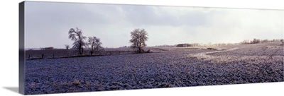 Icy farm field IL