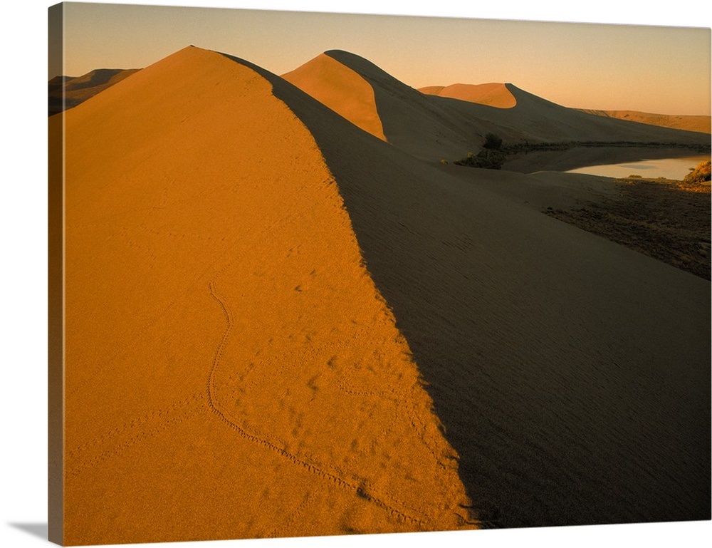 Idaho, Bruneau Dunes State Park, Aerial view of undulating sand dunes
