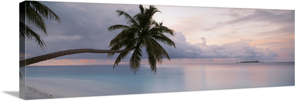 Large art piece of the still ocean with a cooler toned sky above. Palm trees float over the sand and water.