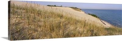 Indiana Dunes IN