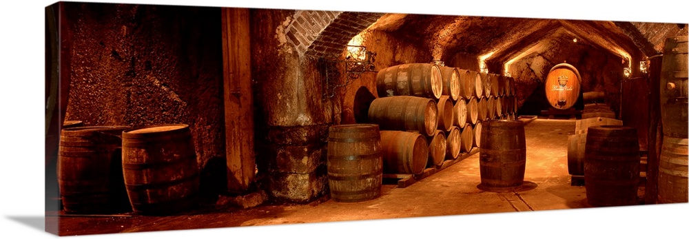 Panoramic photograph shows a group of barrels filled with fermented grape juice as they sit within an underground room in ...