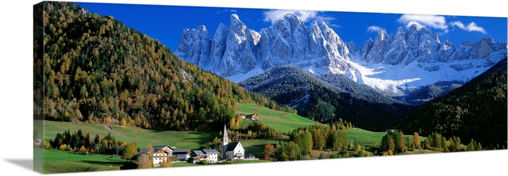 The snow covered Alps tower over a quiet valley filled with conifer trees in this panoramic photograph.