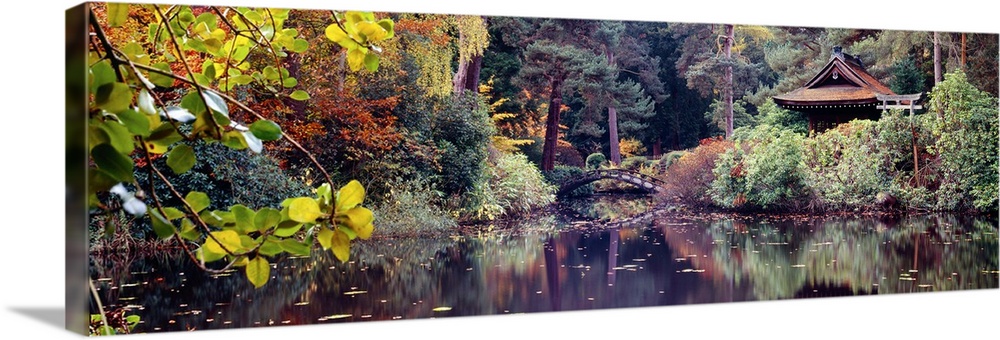Japanese Garden in autumn, Tatton Park, Cheshire, England