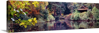 Japanese Garden in autumn, Tatton Park, Cheshire, England