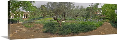 Jardines de Austria in Parc Guell, Barcelona, Catalonia, Spain