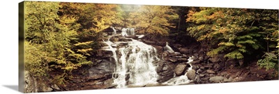 Kaaterskill Falls stream through the forest of the Catskill Mountains
