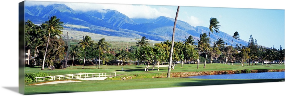 A panoramic golf landscape in a tropical paradise dotted with pine trees and mountains in the distance.
