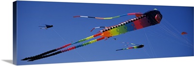 Kite on Blue Sky