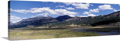 Lamar Valley Soda Butte Creek Yellowstone National Park WY