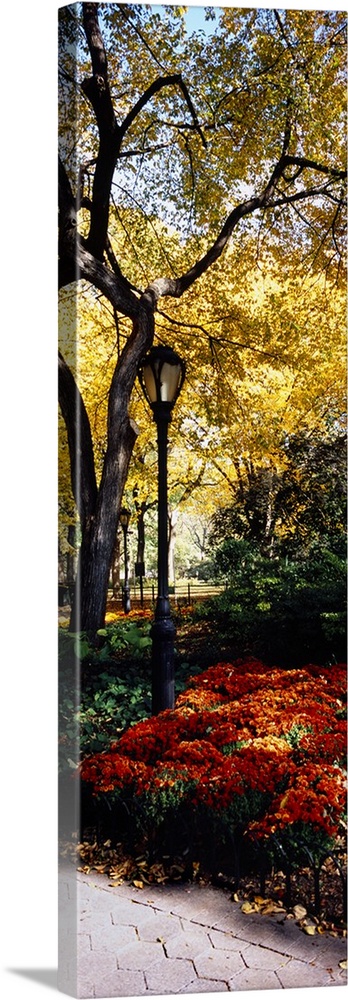 Large vertical panoramic photograph of a single lamppost surrounded by flowers and trees in Central Park, Manhattan, New Y...