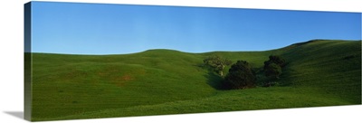 Landscape CA
