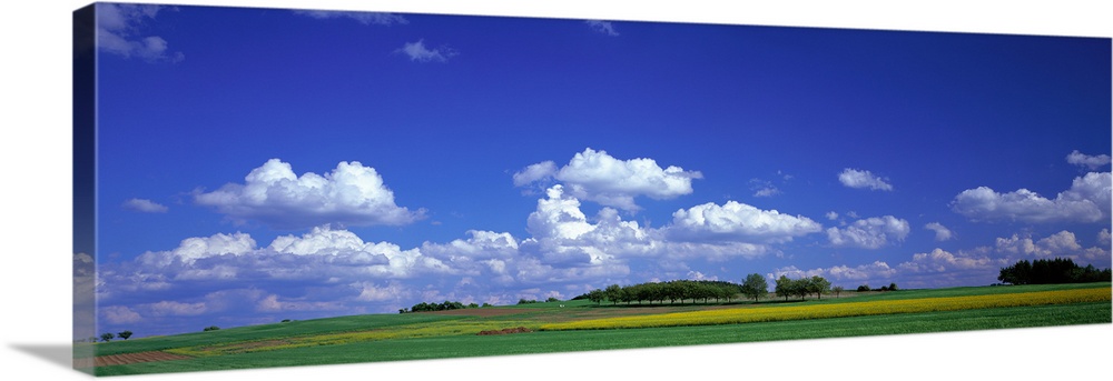 Landscape with Clouds, near Frankfurt, Germany